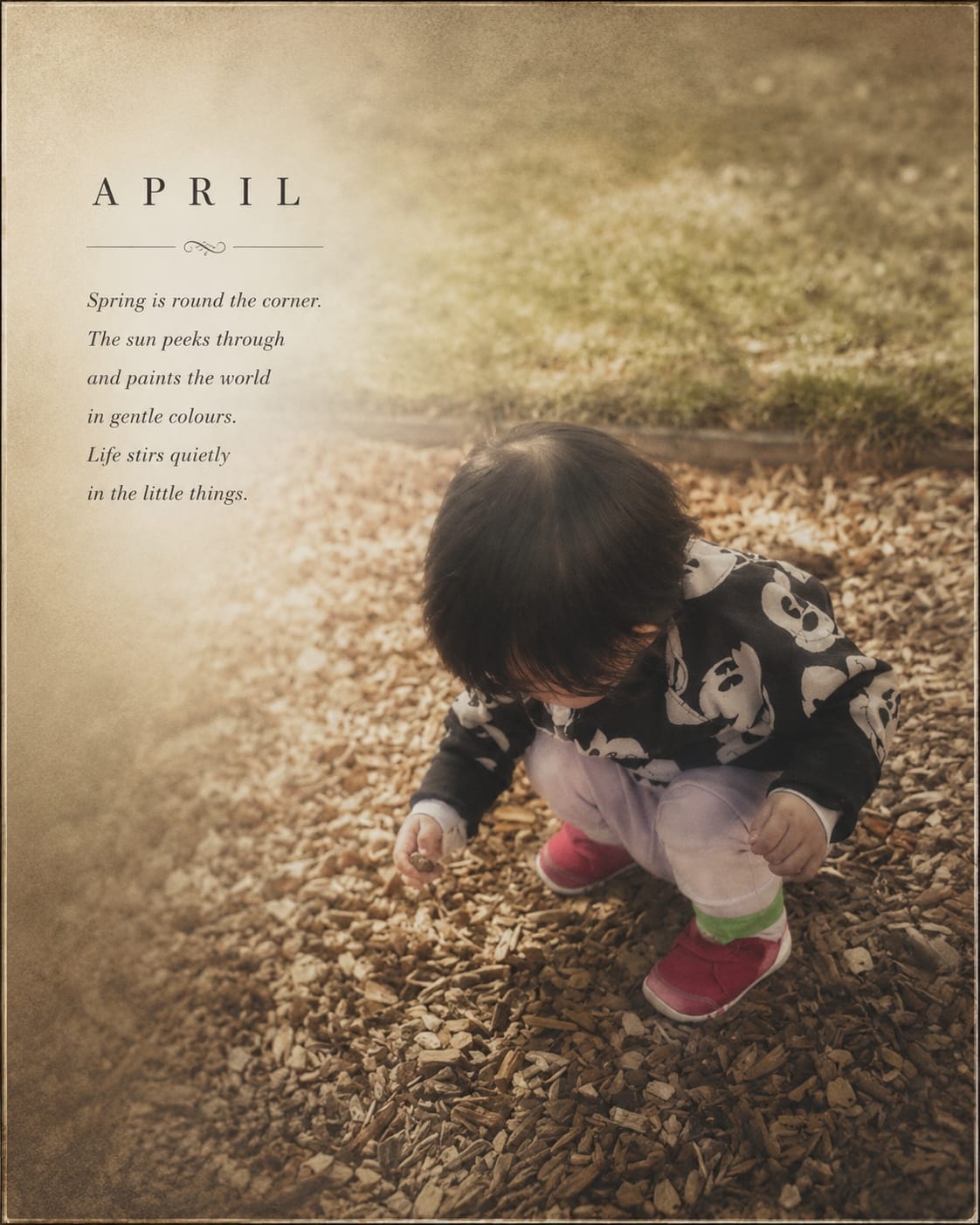 April — spring returns to the garden